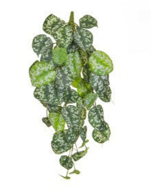 Artificial Scindapsus Bush FR