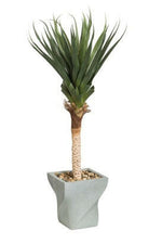 Artificial Spiked Agave Tree in Planter
