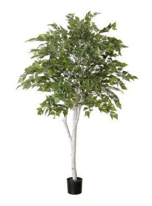 Artificial Silk White Birch Tree