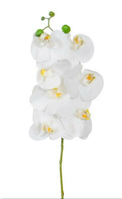 Artificial Silk Phalaenopsis, Real Touch