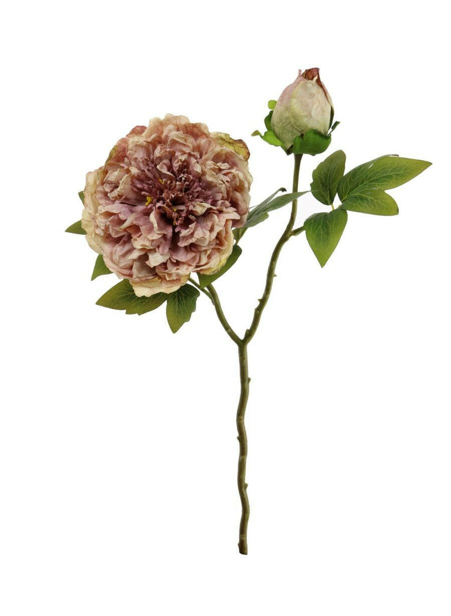 Artificial Dried Touch Open Peony with bud & Leaves