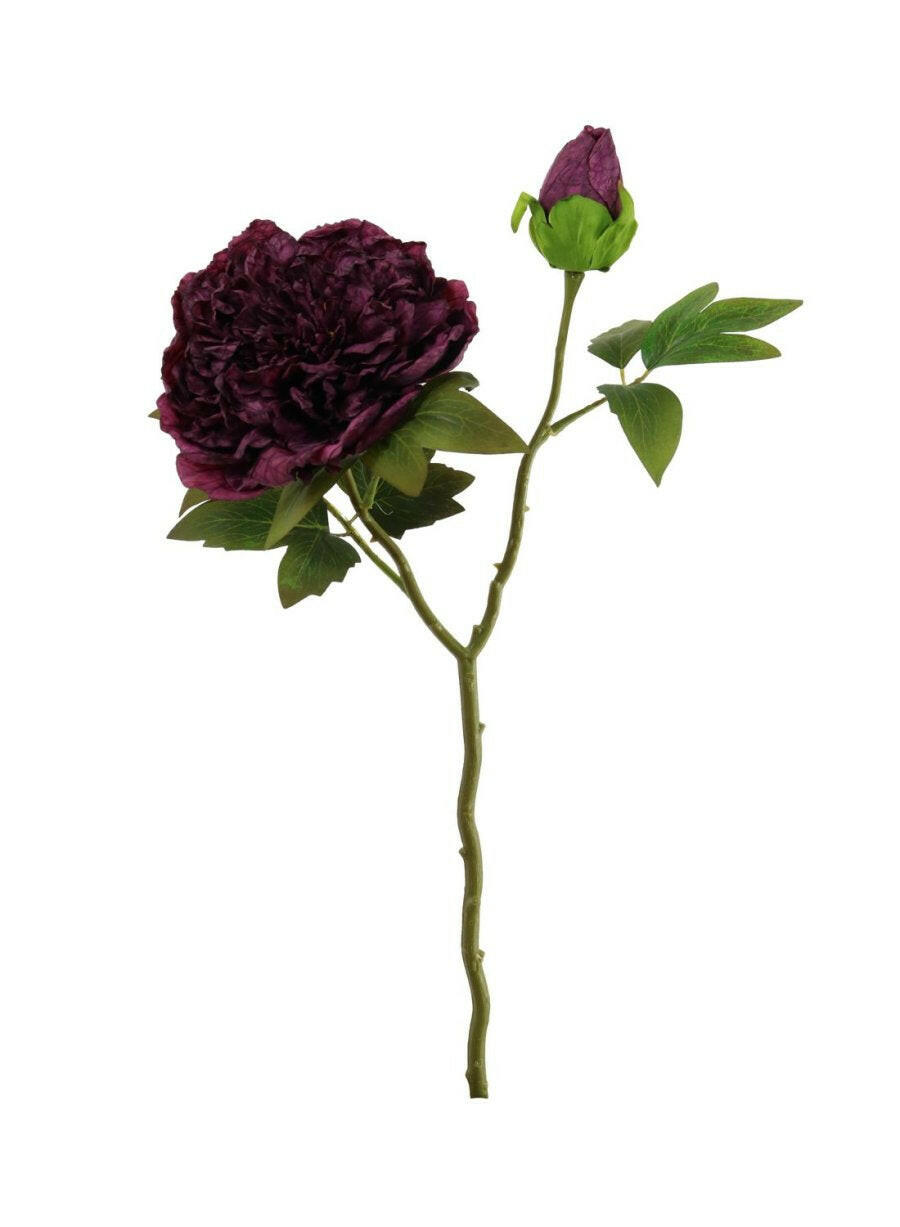 Artificial Dried Touch Open Peony with bud & Leaves