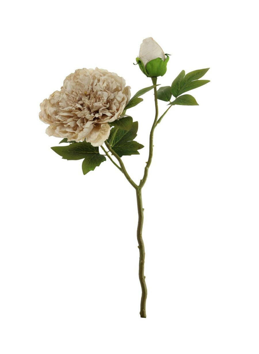 Artificial Dried Touch Open Peony with bud & Leaves