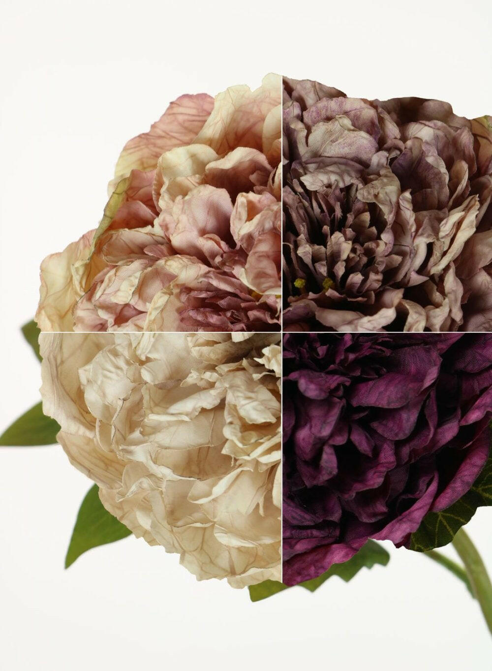 Artificial Dried Touch Open Peony with bud & Leaves