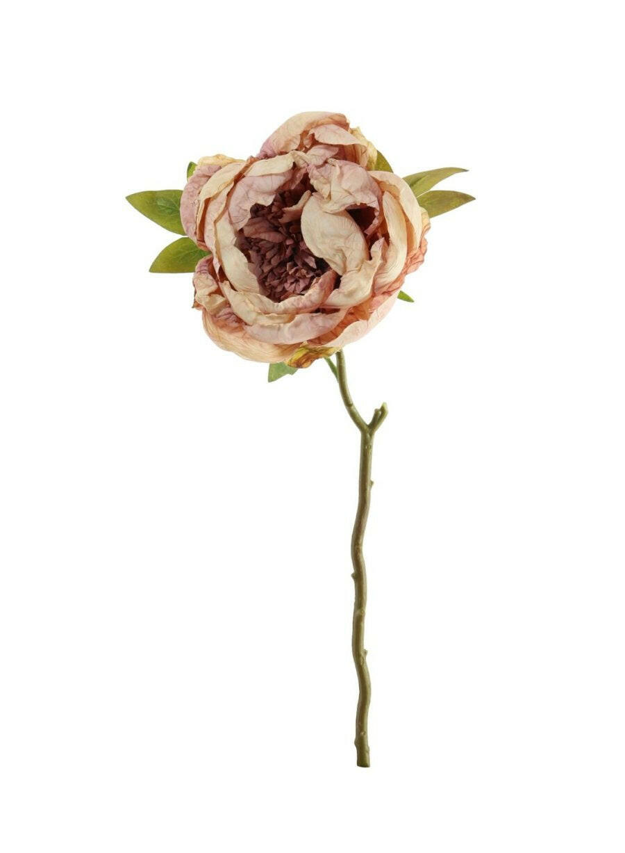 Artificial Dried Touch Open Peony