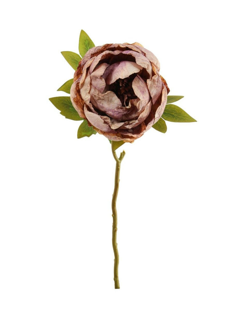 Artificial Dried Touch Open Peony