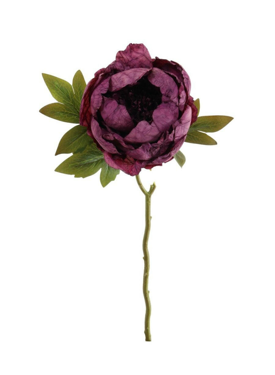 Artificial Dried Touch Open Peony