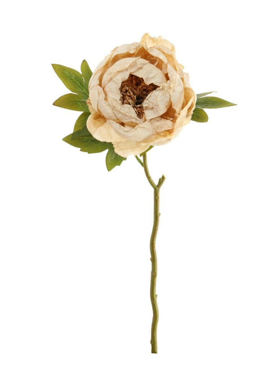 Artificial Dried Touch Open Peony