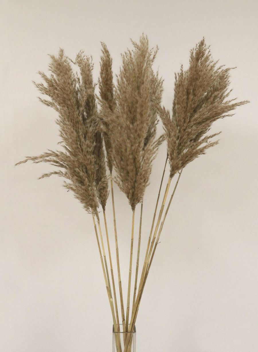Artificial Dried Extra Fluffy Pampas Bunch