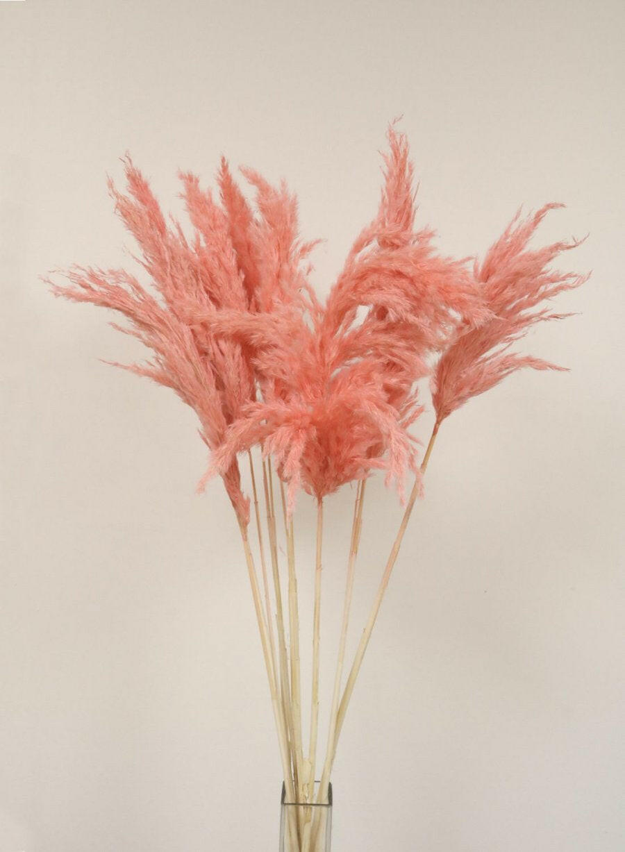 Artificial Dried Extra Fluffy Pampas Bunch