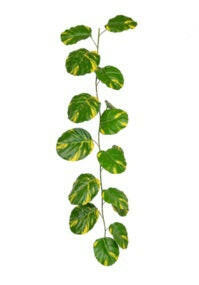 Artificial Pothos Garland FR