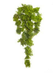 Artificial Reindeer Moss Trail FR UV