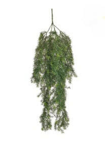 Artificial Springeri Trail UV FR