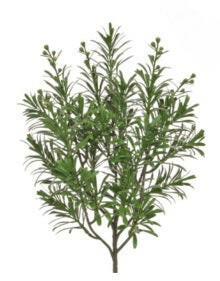 Artificial Silk Artemisia Spray FR UV