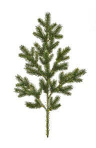 Artificial Pine Spruce Stem FR