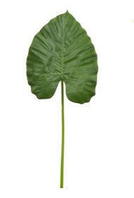 Artificial Alocasia Calidora FR