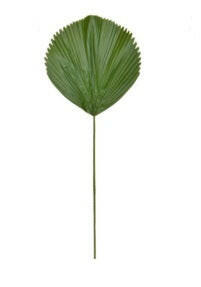 Artificial Licuala Grandis Palm Stem FR