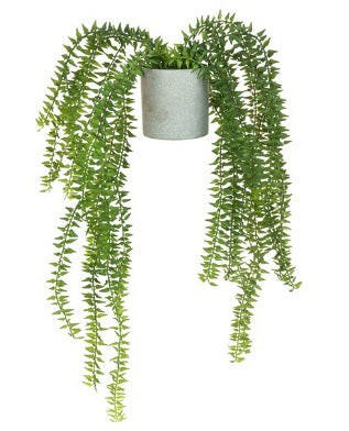 Artificial Potted Club Moss Fern In Pot