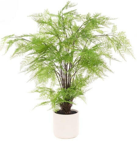Artificial Fern Tree in White Pot