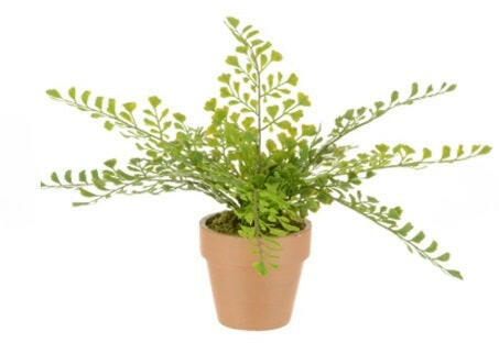 Artificial Potted Mini Fern in Terracotta Pot x3