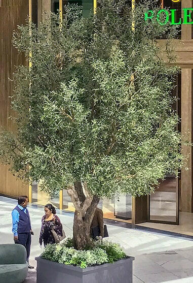 Artificial Natural Large Bespoke Olive Tree