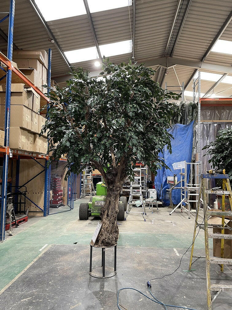 Artificial Large Bespoke Resin Ficus Tree