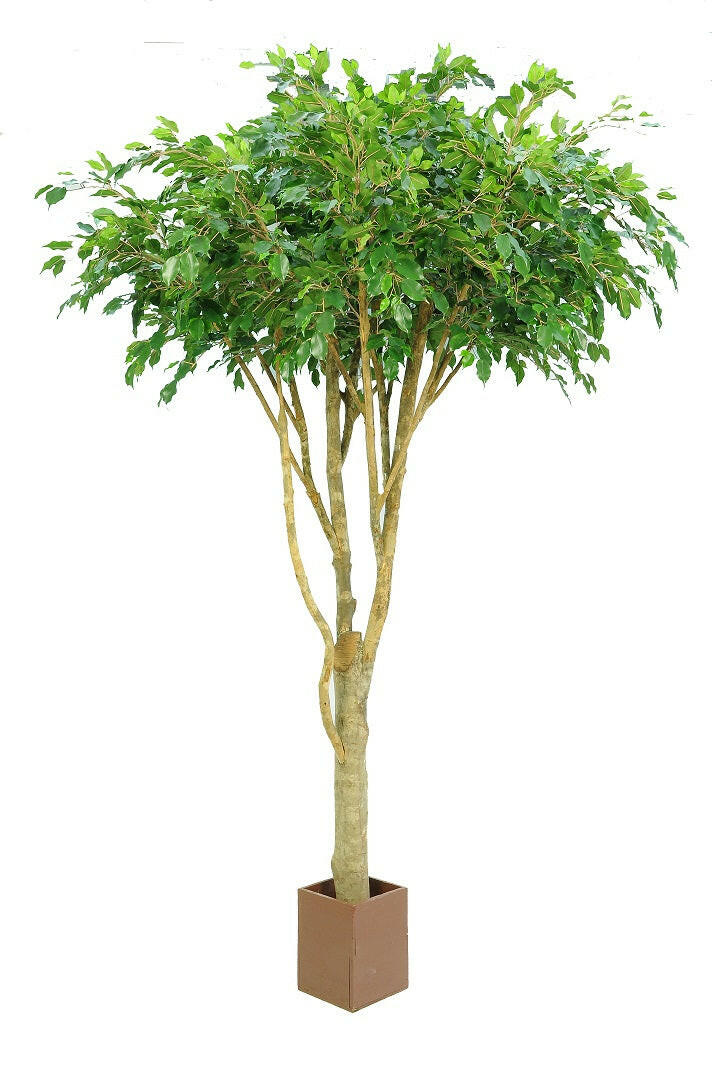 Artificial Silk Ficus Tree Natural Trunk