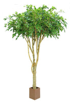Artificial Silk Ficus Tree Natural Trunk 