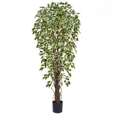 Artificial Silk Hawaiian Ficus Tree IFR
