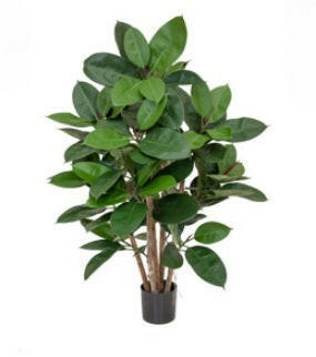 Artificial Ficus Elastica Multi Tree FR