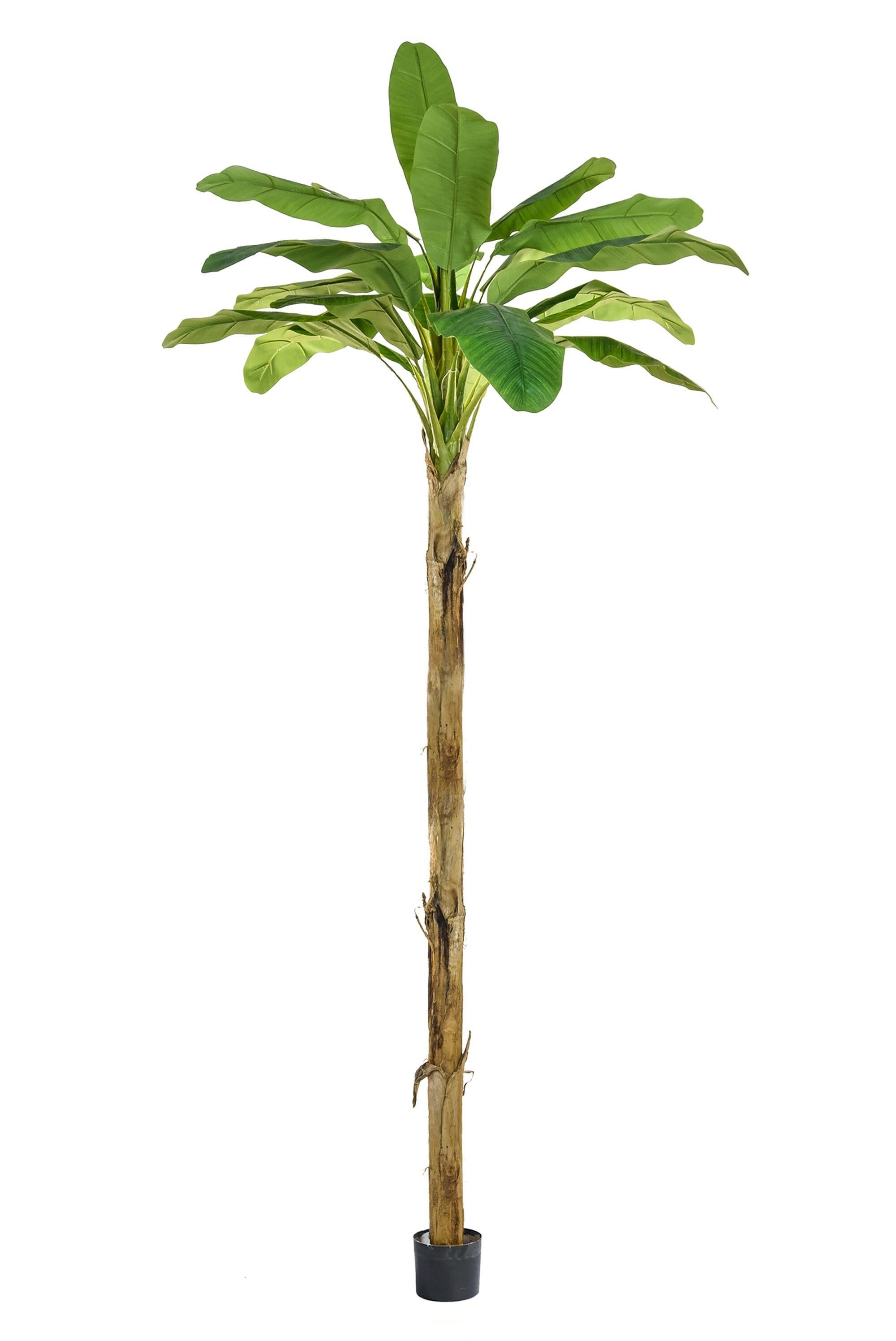 Artificial Banana Tree FR