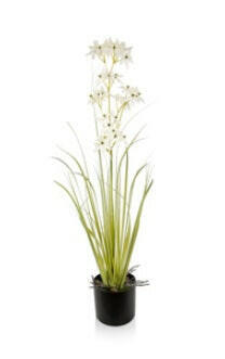 Artificial Grass Allium with Pot FR