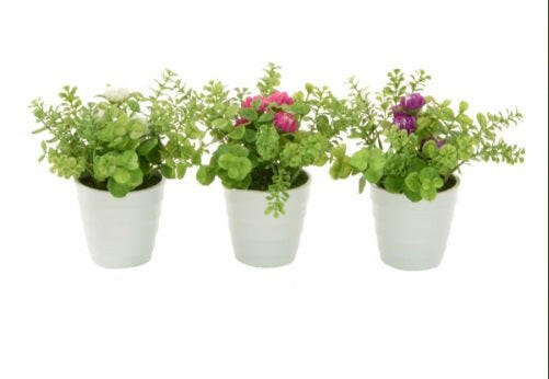 Artificial Potted Daisy/Eucalyptus/Geranium in White Pots x3