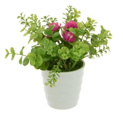 Artificial Potted Daisy/Eucalyptus/Geranium in White Pots x3