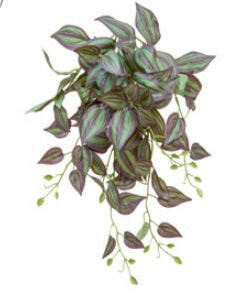 Justartificial Tradescantia Trail FR Purple