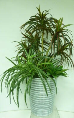 Artificial Silk Red Yucca/Succulent in Pot