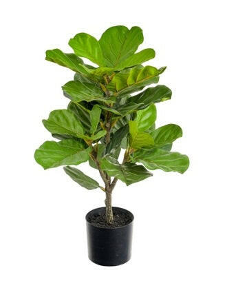 Artificial Silk Fiddle Leaf Tree