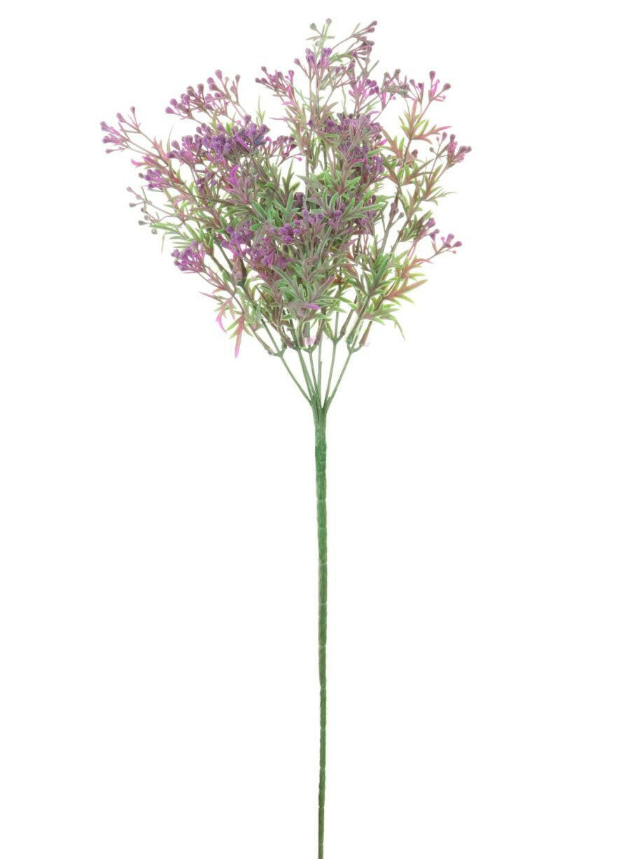 Mini Bud Bunch Plant Pink