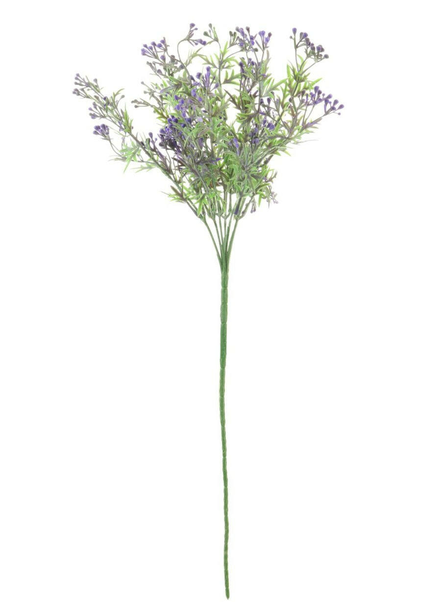 Mini Bud Bunch Plant Purple