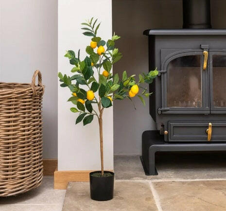 Justartificial Lemon Tree in situ