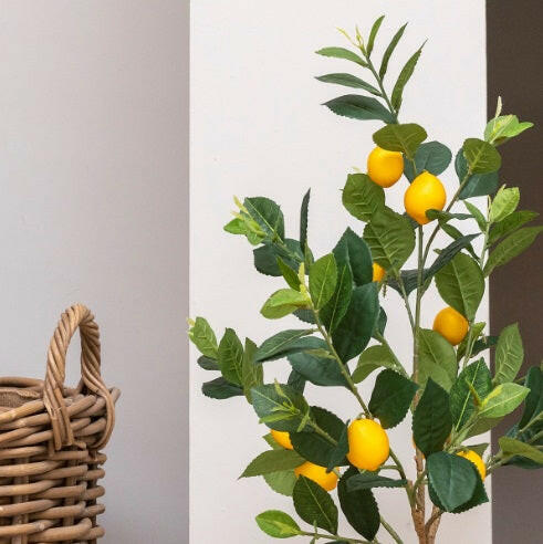 Close up of the Lemon Tree