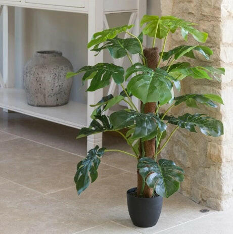 Artificial Silk Split Philodendron in situ