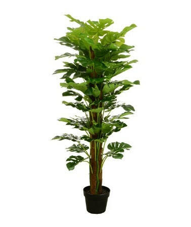 Artificial Silk Philo in carriage pot