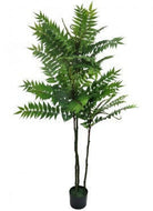Artificial Silk Fern Tree 170cm