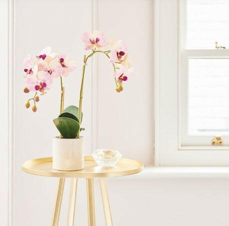 Justartificial Phalaenopsis in a Ceramic Pot in situ