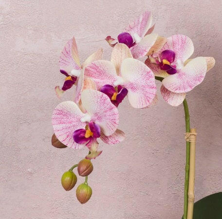 Justartificial Phalaenopsis in a Ceramic Pot close up