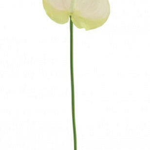 Justartificial Anthurium UV White