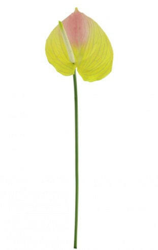 Justartificial Anthurium UV Pink Green