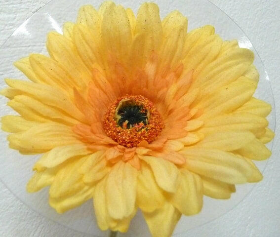 Artificial Silk Gerbera Deluxe Flowers (Real Touch)