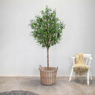 Justartificial.co.uk Natural Trunk Olive Tree FR 210cm